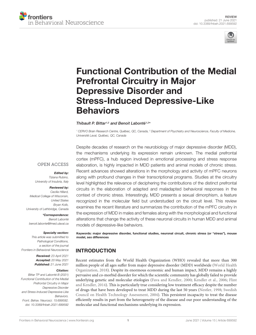 Pdf Functional Contribution Of The Medial Prefrontal Circuitry In