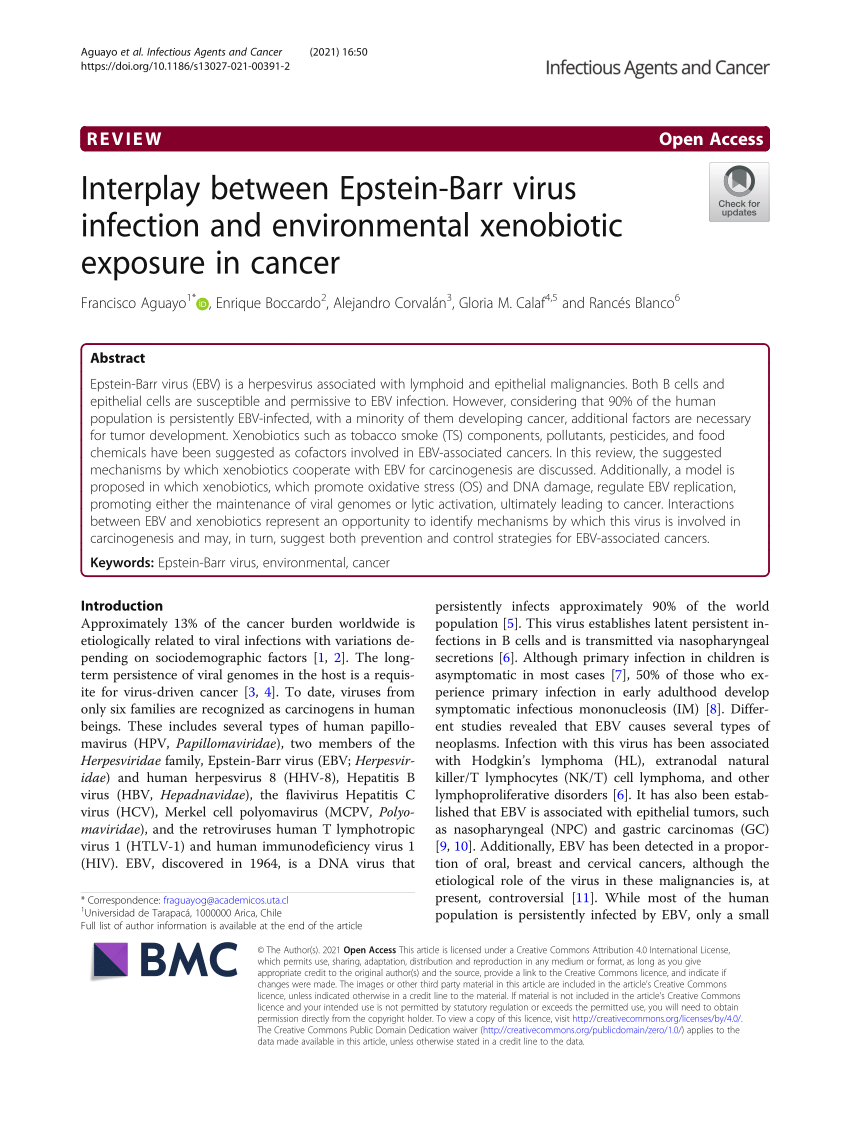 PD-L1 upregulation by lytic induction of Epstein-Barr Virus - ScienceDirect