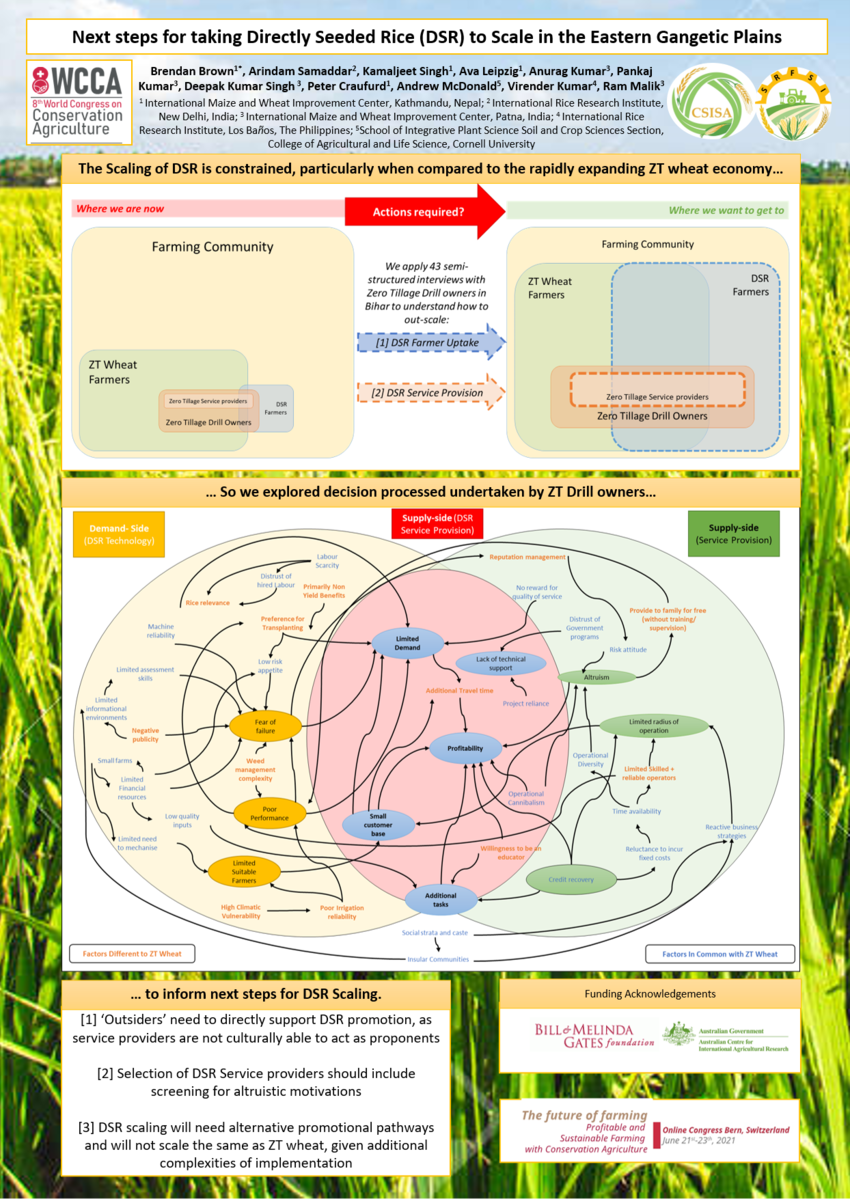 PDF Next Steps For Taking Directly Seeded Rice DSR To Scale In The Eastern Gangetic Plains