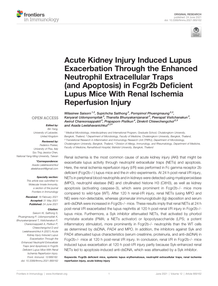 (PDF) Acute Kidney Injury Induced Lupus Exacerbation Through the ...