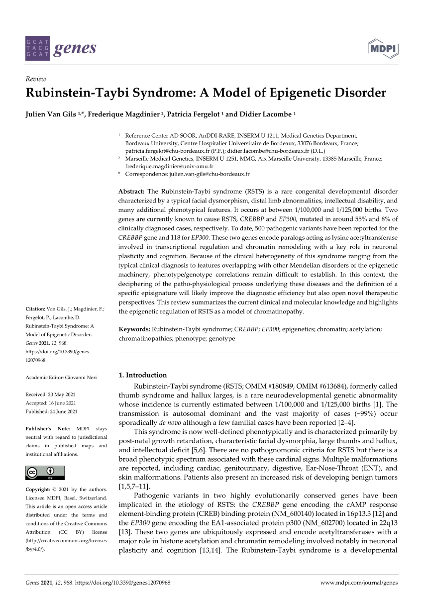PDF) Rubinstein-Taybi Syndrome: A Model of Epigenetic Disorder