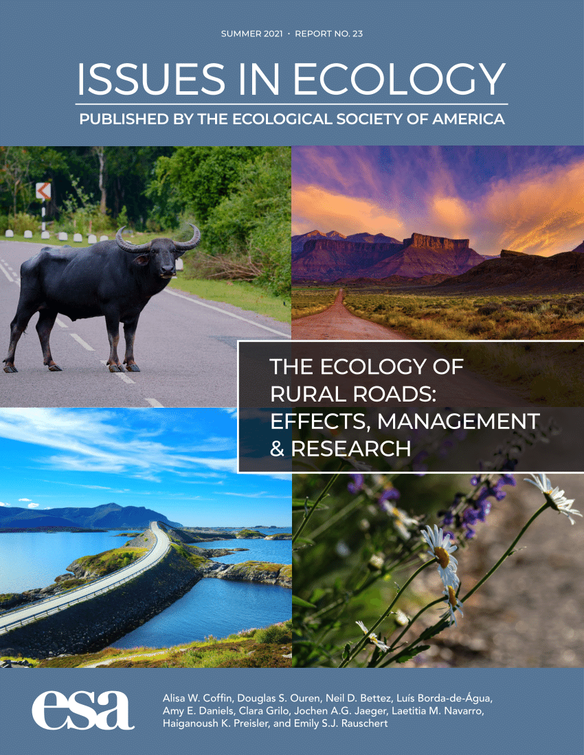 Pdf The Ecology Of Rural Roads Effects Management Research