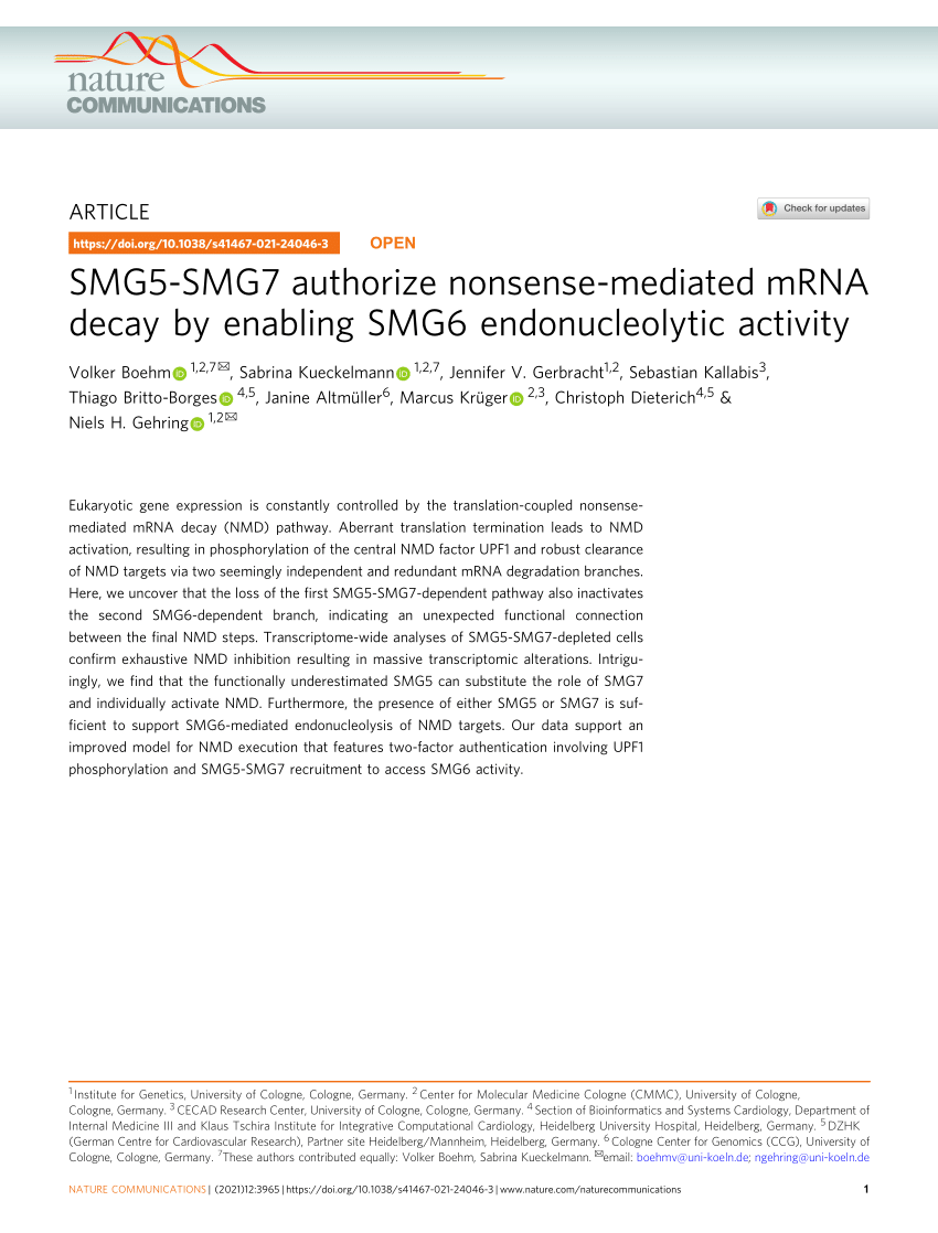 https://i1.rgstatic.net/publication/352742024_SMG5-SMG7_authorize_nonsense-mediated_mRNA_decay_by_enabling_SMG6_endonucleolytic_activity/links/60d5f7b7458515d6fbda8198/largepreview.png