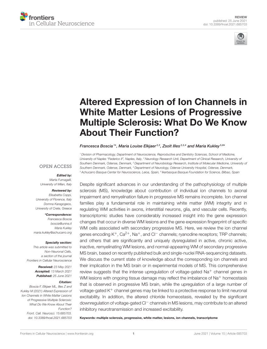 PDF) Altered Expression of Ion Channels in White Matter Lesions of 