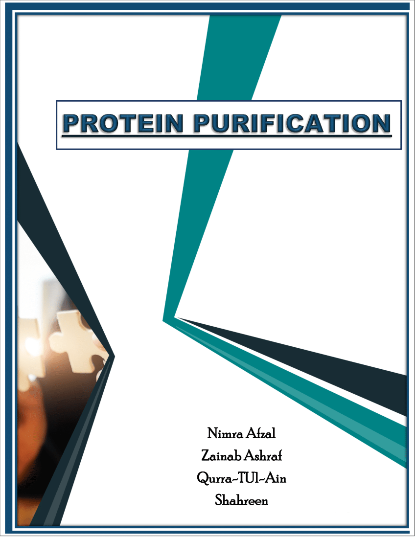 research paper for protein purification