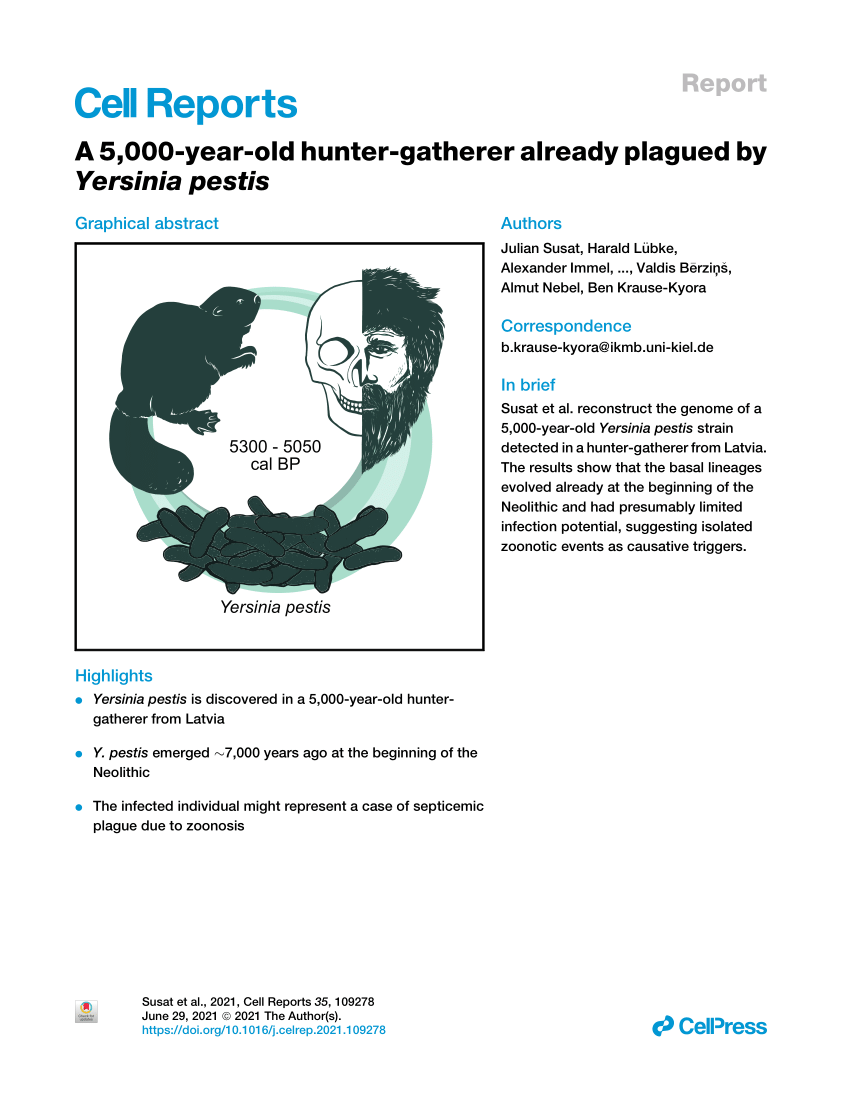 PDF) A 5,000-year-old hunter-gatherer already plagued by Yersinia pestis