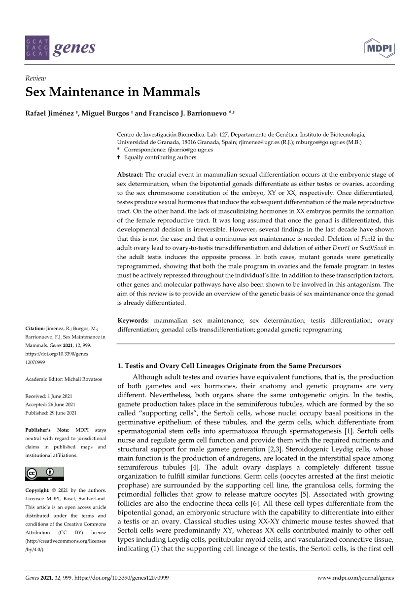 Pdf Sex Maintenance In Mammals 