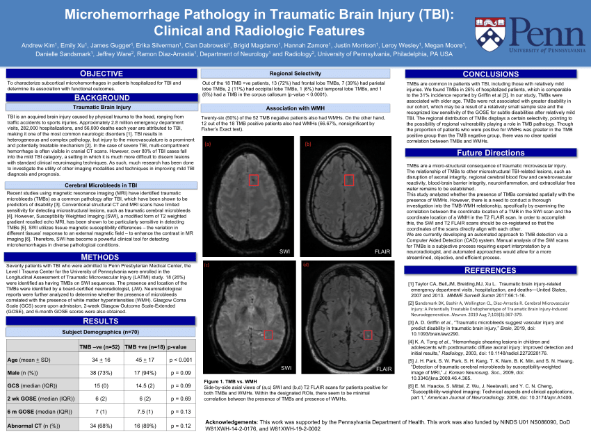 PDF) Microhemorrhage Pathology in Traumatic Brain Injury (TBI): Clinical  and Radiologic Features