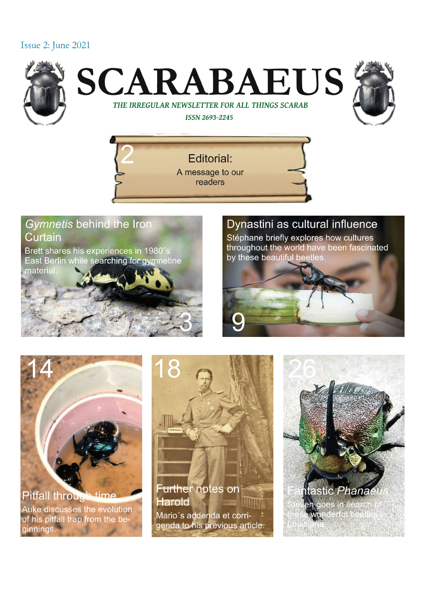 PDF) The Dynastini scarab beetles in human culture (Coleoptera Scarabaeidae Dynastinae)