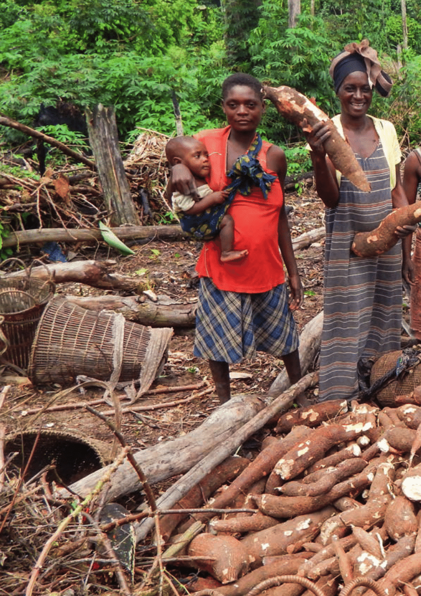 Le Gabon face aux braconniers, une lutte inégale - Jeune Afrique
