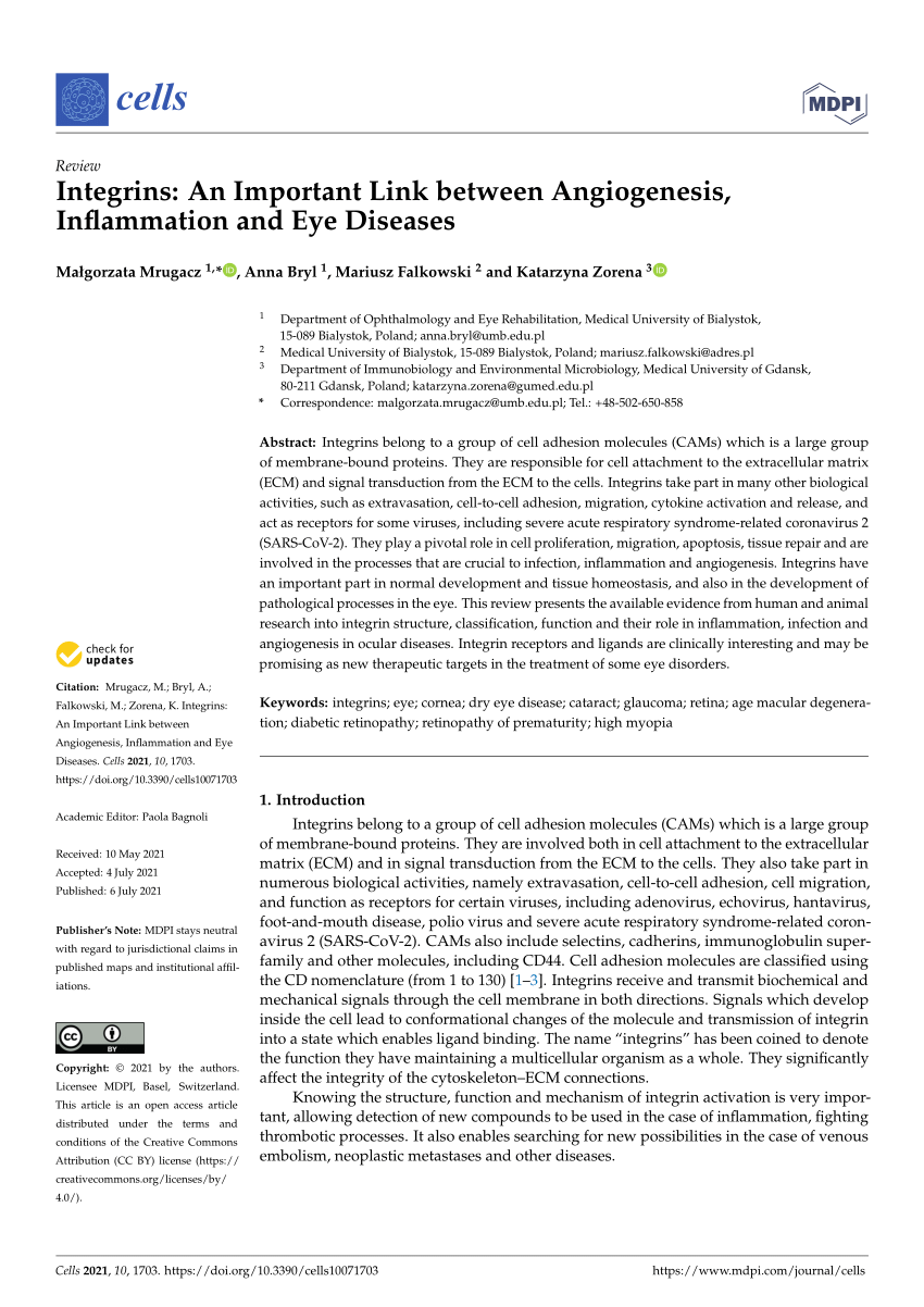 PDF) Integrins: An Important Link between Angiogenesis 