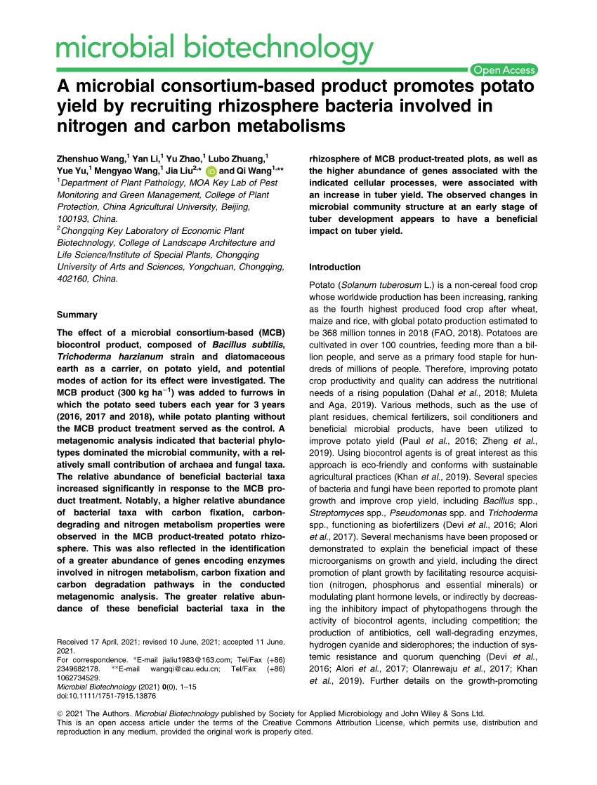 A Rhizosphere-Derived Consortium of Bacillus subtilis and