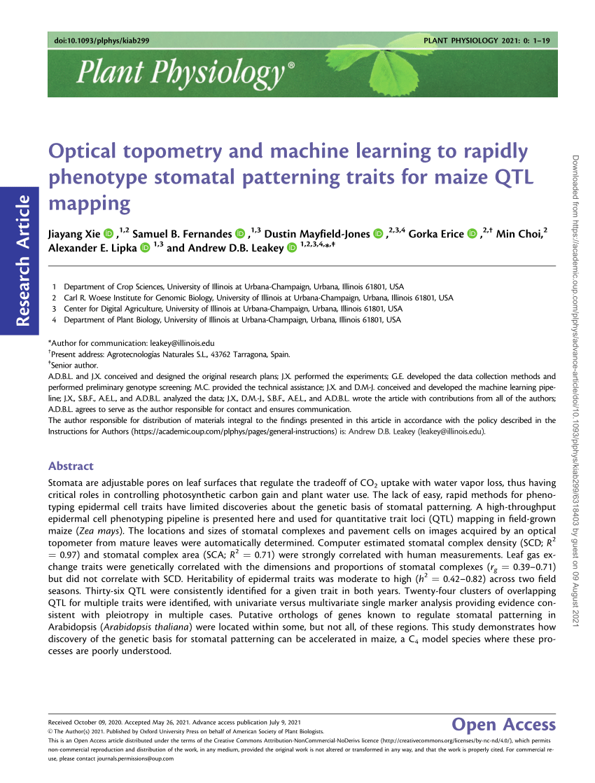 PDF) Optical topometry and machine learning to rapidly phenotype