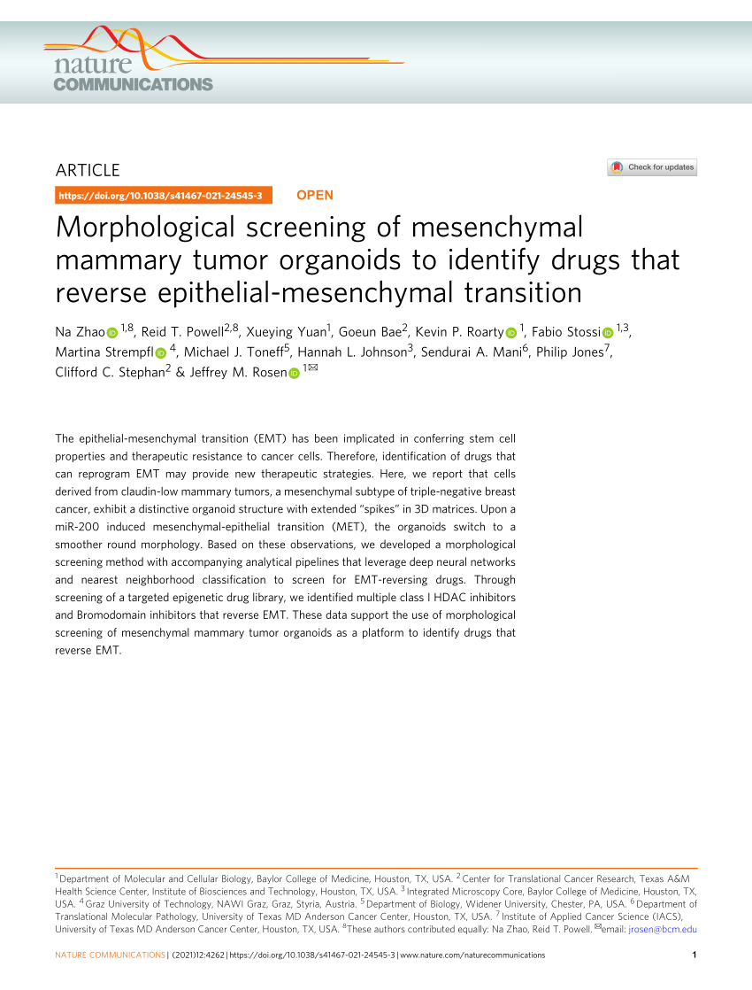 Pdf Morphological Screening Of Mesenchymal Mammary Tumor Organoids To Identify Drugs That 1574