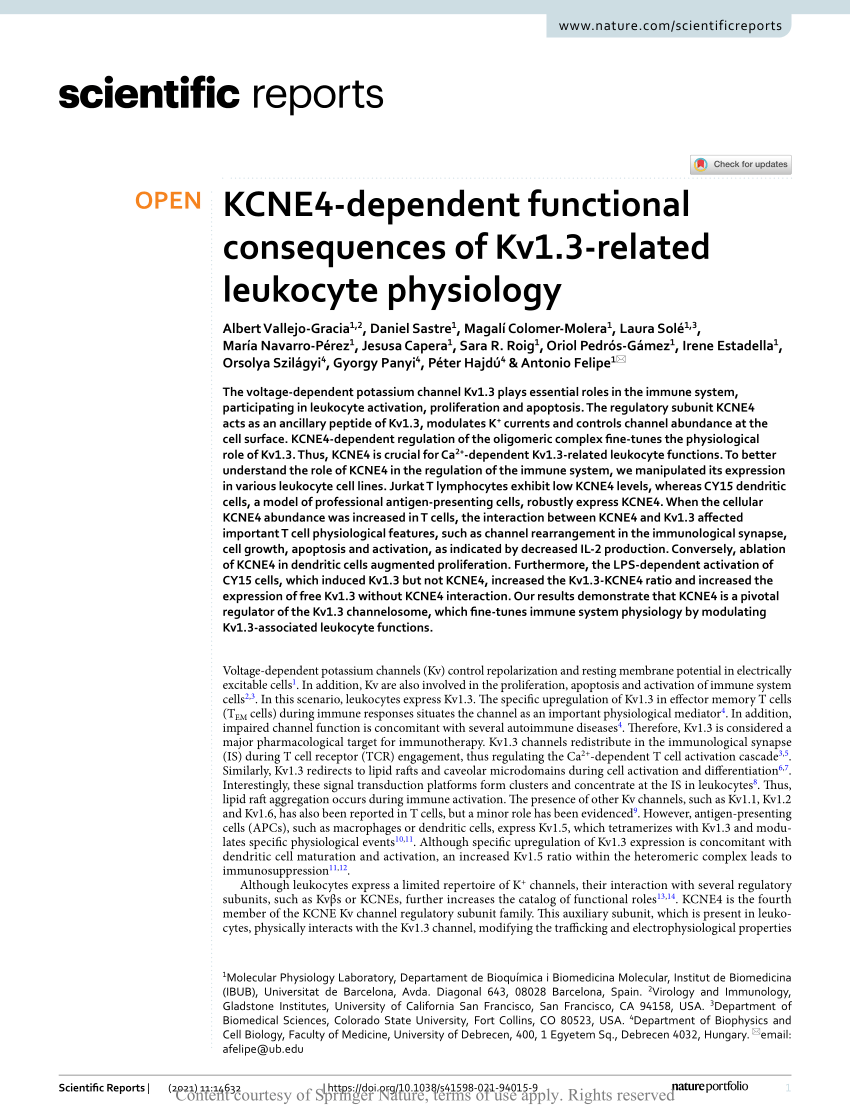 Frontiers  Review on Biological Characteristics of Kv1.3 and Its