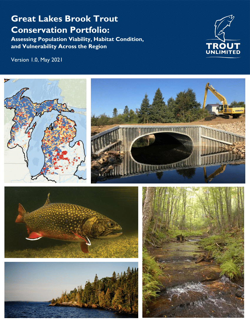 The Life Cycle of a Brook Trout, Autumn 2014, Articles