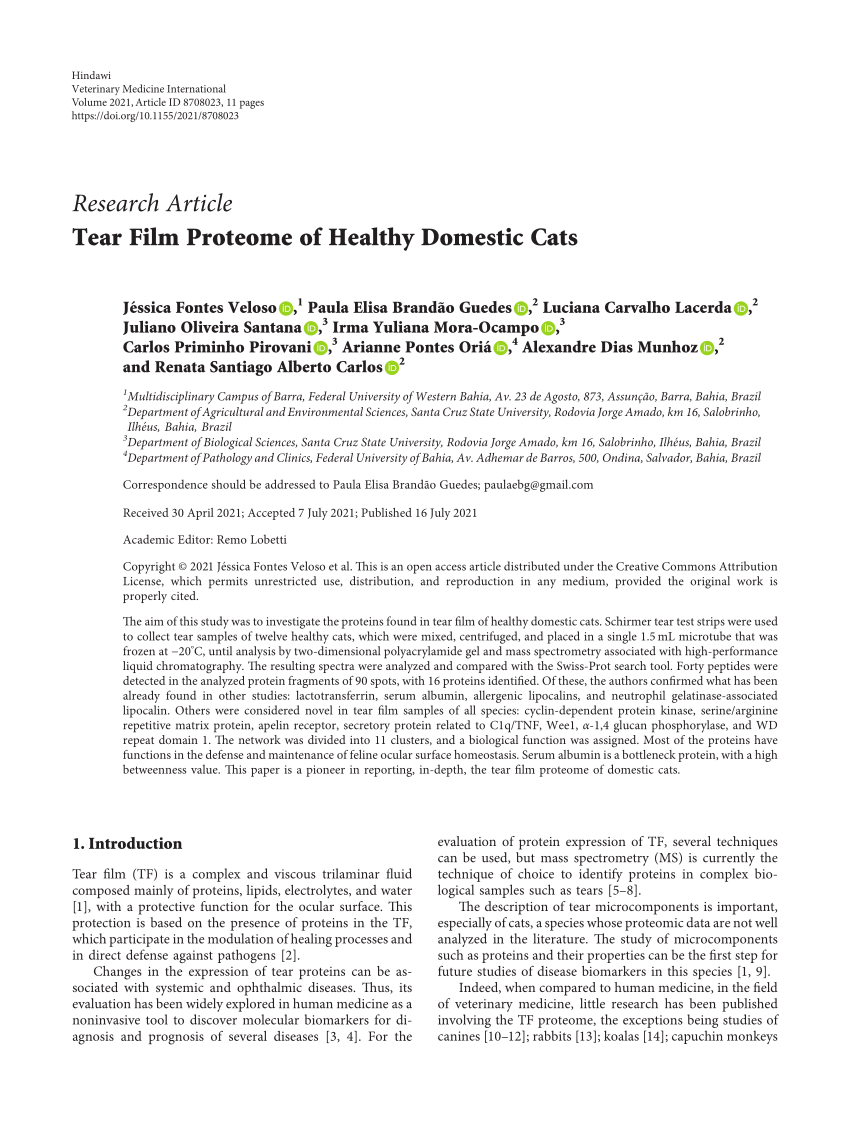 PDF Tear Film Proteome of Healthy Domestic Cats 