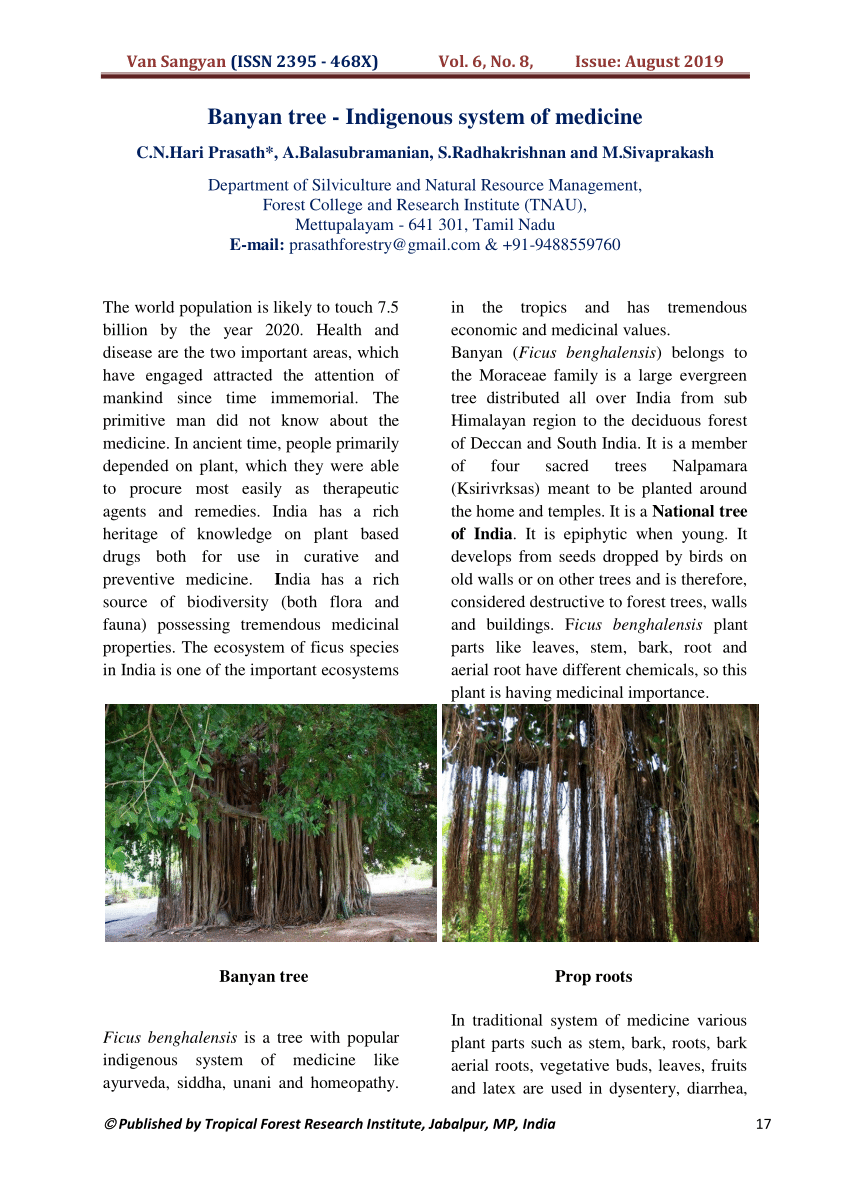 PDF) Banyan tree -Indigenous system of medicine