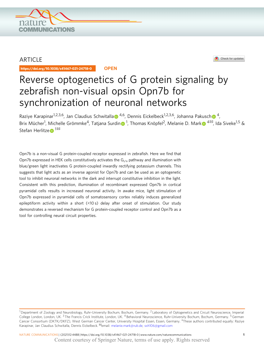 (PDF) Reverse optogenetics of G protein signaling by zebrafish non-visual  opsin Opn7b for synchronization of neuronal networks