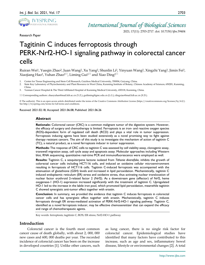 PDF) Tagitinin C induces ferroptosis through PERK-Nrf2-HO-1 
