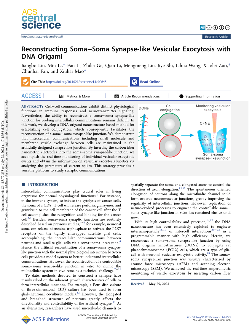 Reconstructing Soma–Soma Synapse-like Vesicular Exocytosis with DNA Origami