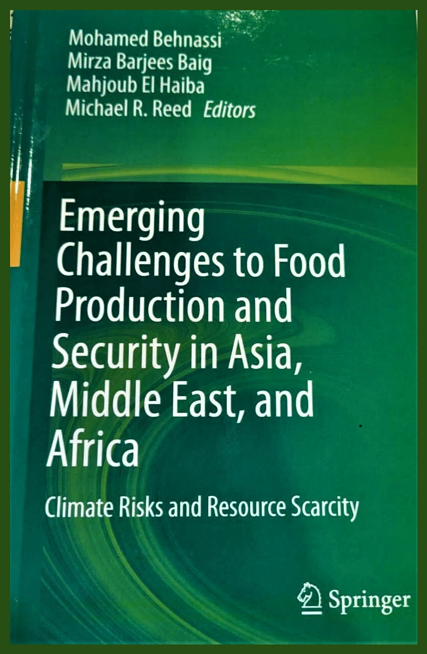 thesis on food security in nigeria