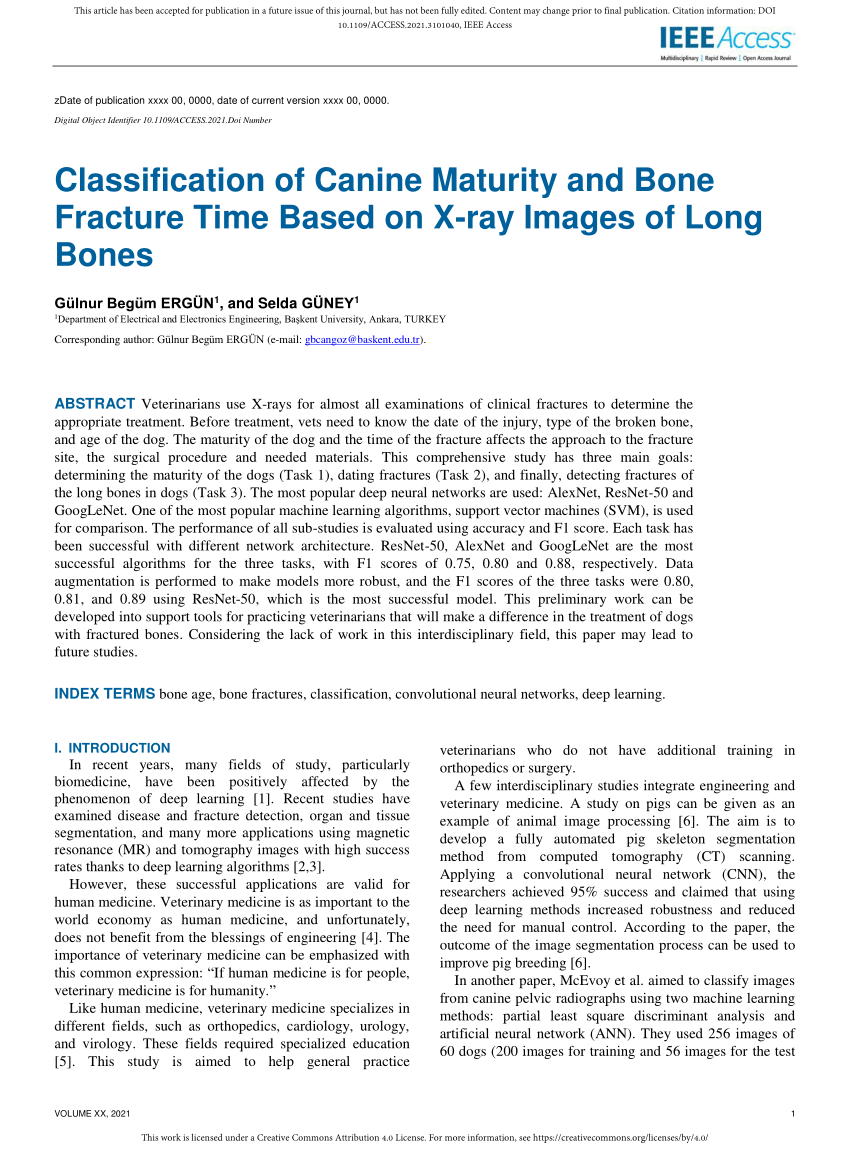 SEER Training: Classification of Bones