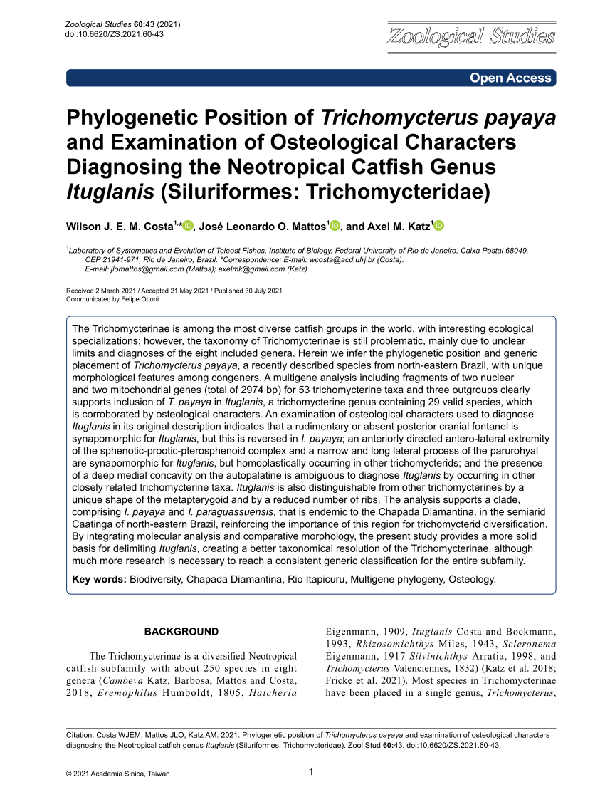 PDF) Ituglanis agreste, a new catfish from the rio de Contas basin