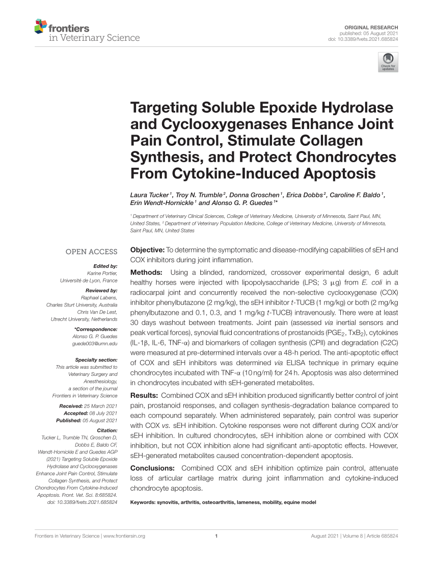 PDF) Targeting Soluble Epoxide Hydrolase and Cyclooxygenases Enhance Joint  Pain Control, Stimulate Collagen Synthesis, and Protect Chondrocytes From  Cytokine-Induced Apoptosis