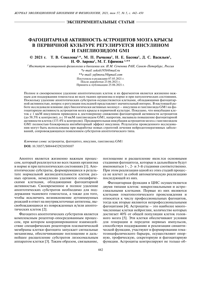 PDF) ФАГОЦИТАРНАЯ АКТИВНОСТЬ АСТРОЦИТОВ МОЗГА КРЫСЫ В ПЕРВИЧНОЙ КУЛЬТУРЕ  РЕГУЛИРУЕТСЯ ИНСУЛИНОМ И ГАНГЛИОЗИДОМ GM1