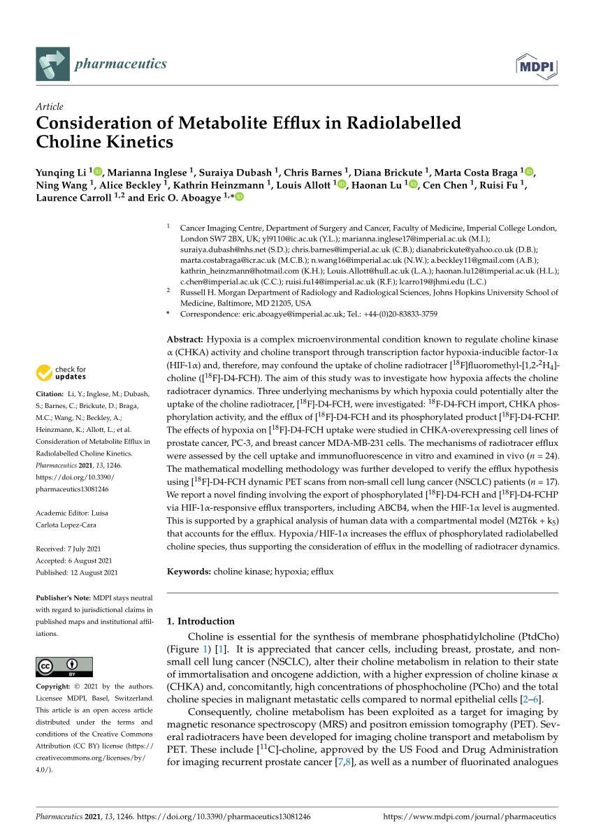 PDF) Consideration of Metabolite Efflux in Radiolabelled Choline 