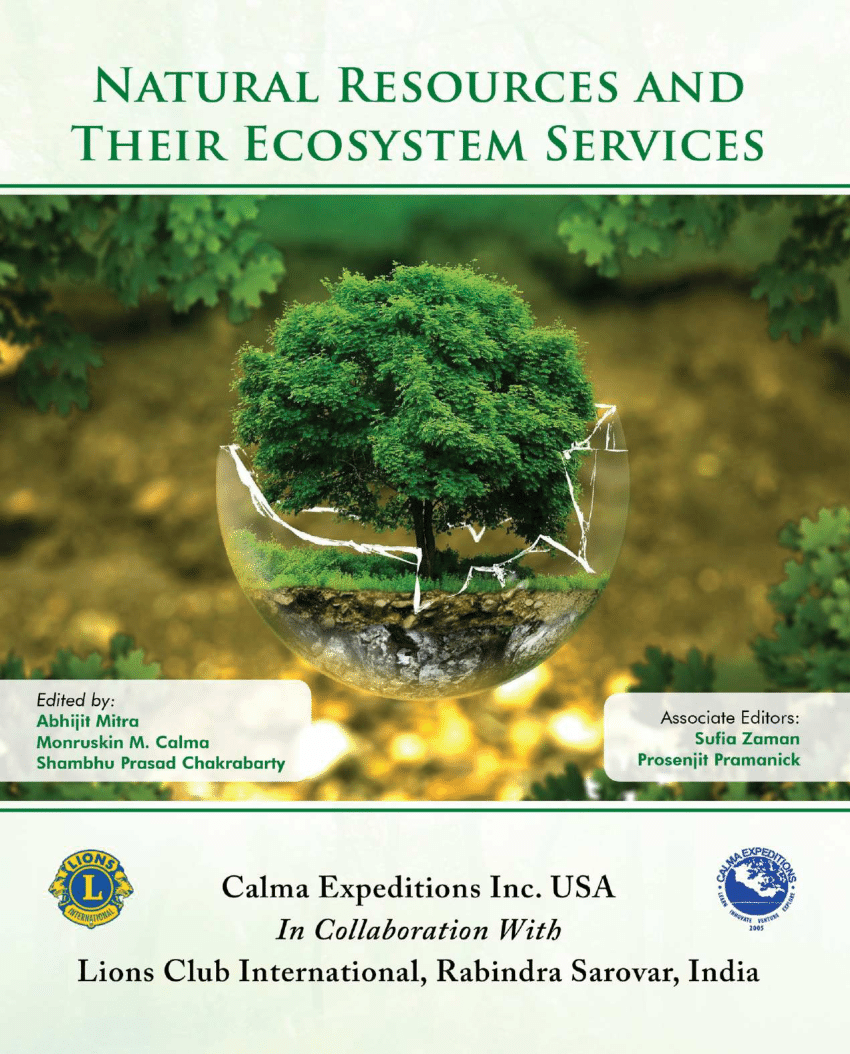 PDF) Sustainability of Natural Resources and Ecosystem Services