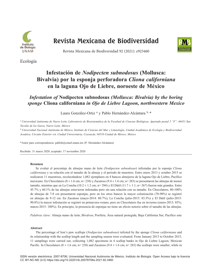 PDF) Infestación de Nodipecten subnodosus (Mollusca: Bivalvia) por la  esponja perforadora Cliona californiana en la Laguna Ojo de Liebre,  noroeste de México