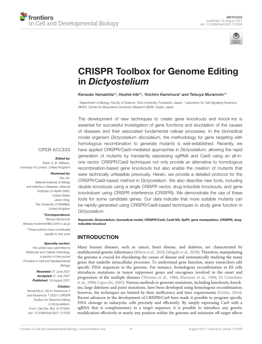 Pdf Crispr Toolbox For Genome Editing In Dictyostelium 