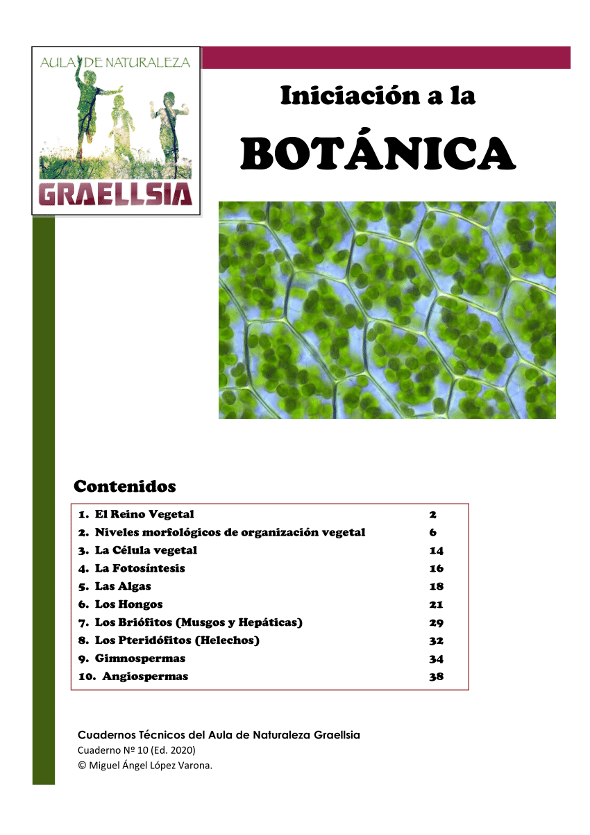 Pdf Iniciación A La Botánica 2908