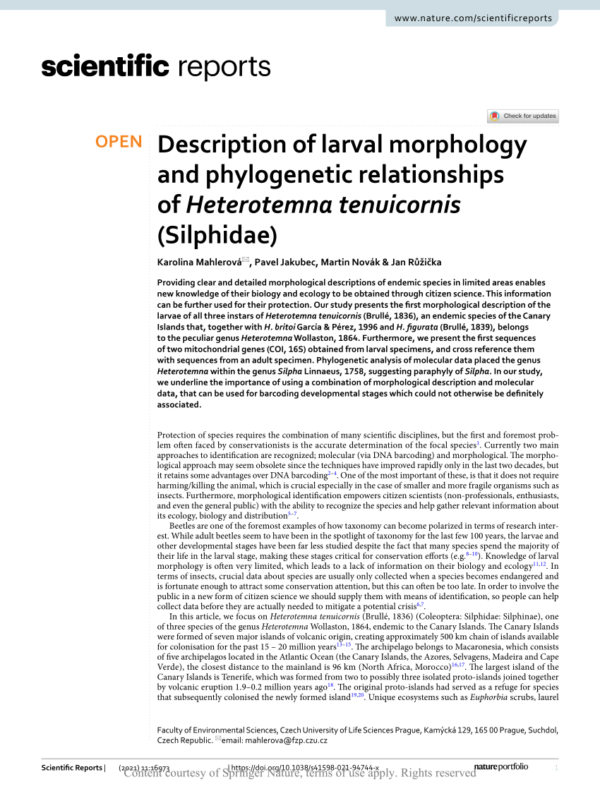 PDF) Description of larval morphology and phylogenetic relationships of Heterotemna (Silphidae)