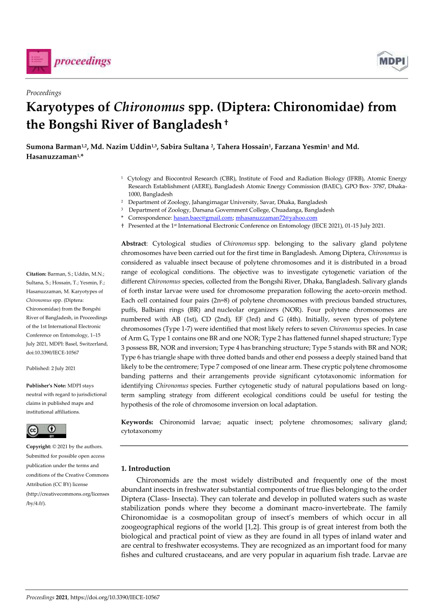 Chironomus - Insect Division