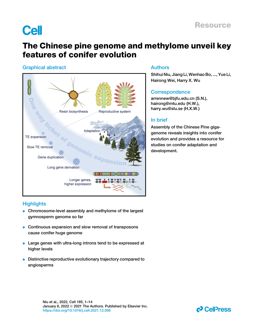 PDF) The Chromosome-Scale Genome and Methylome of Pinus 