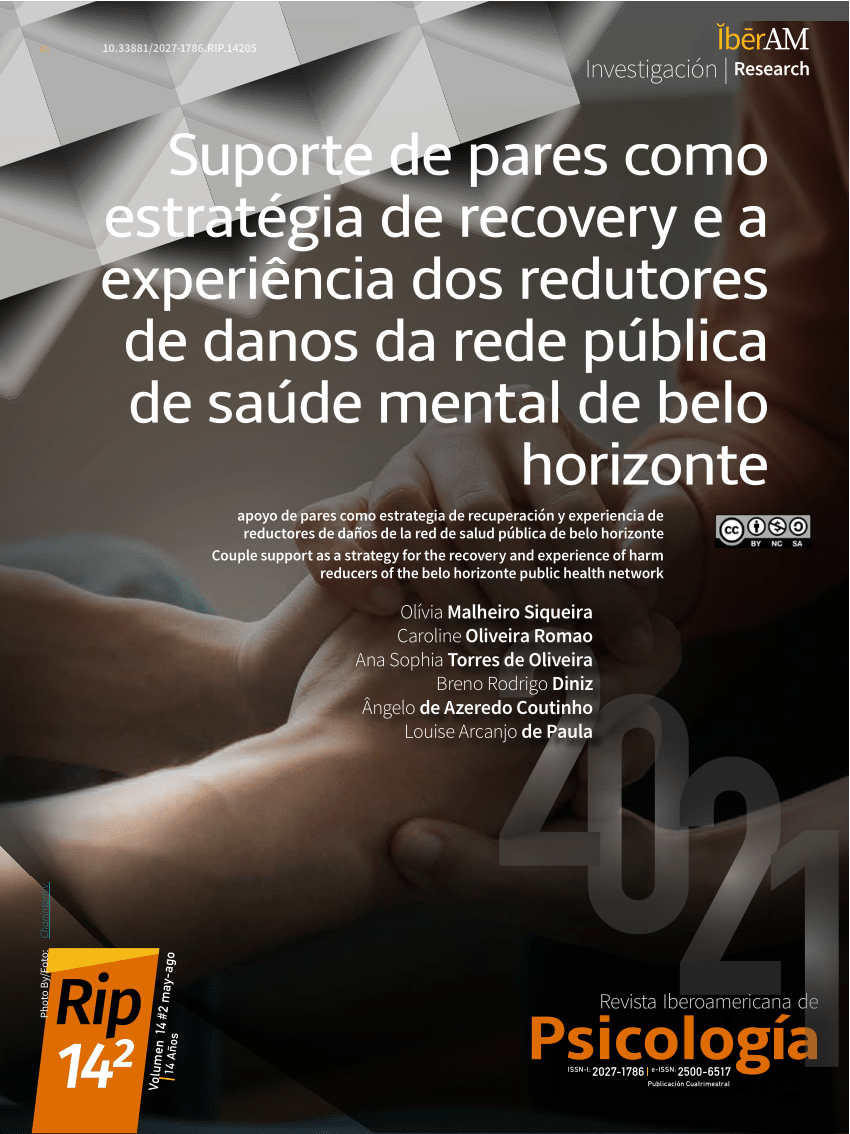 PDF) Suporte de pares como estratégia de Recovery e a experiência dos  redutores de danos da Rede Pública de Saúde Mental de Belo Horizonte