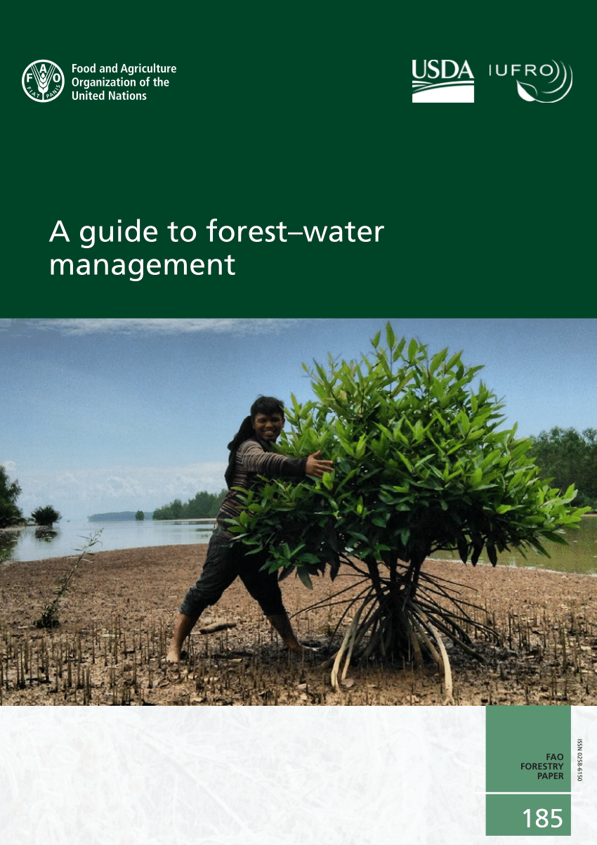 Pdf A Guide To Forest Water Management, Living Waters Landscaping Asheville Kent