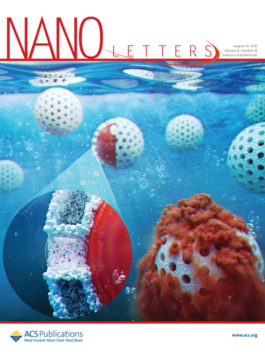 cover letter nano letters