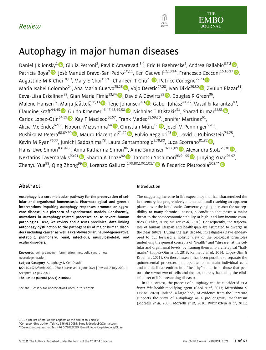 PDF) Autophagy in major human diseases