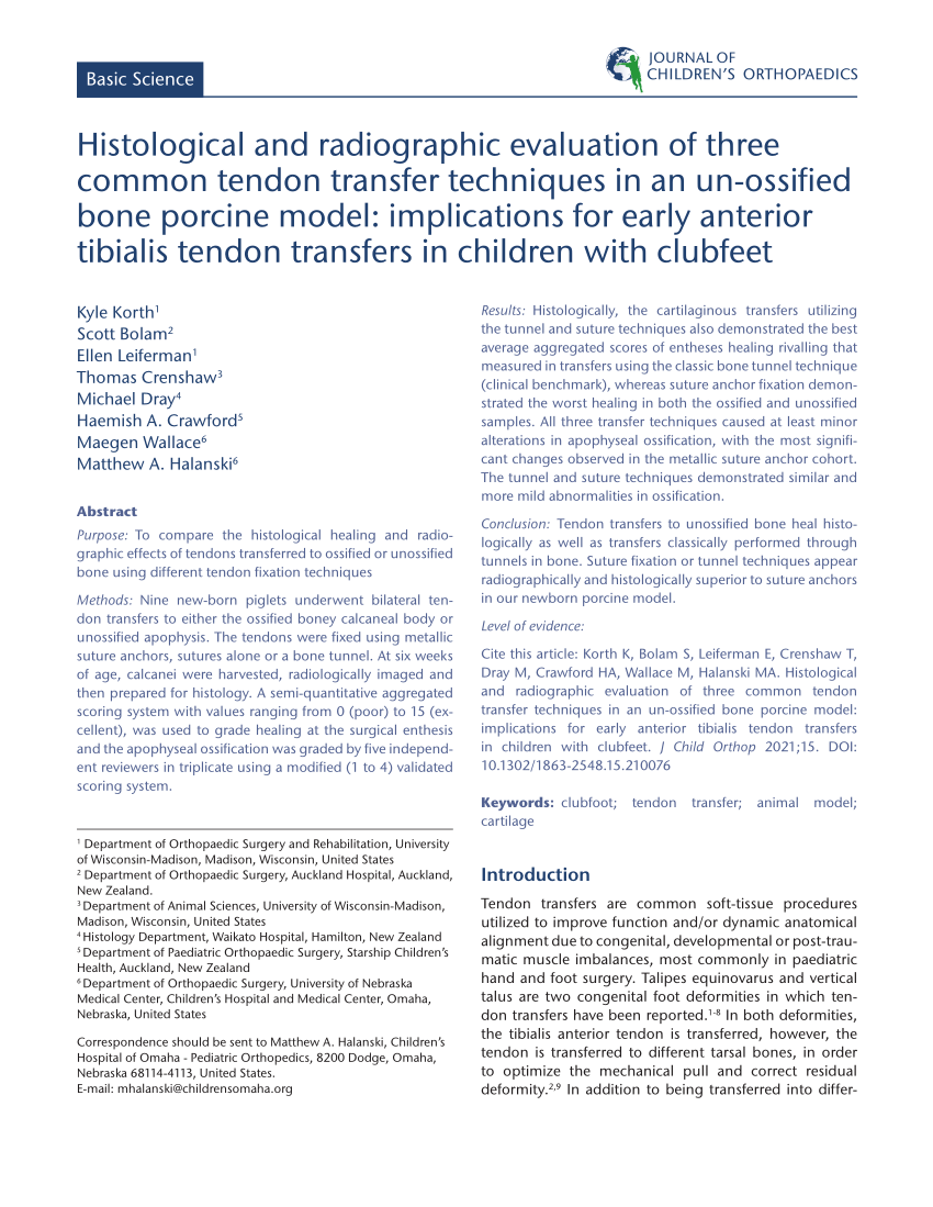 PDF) Histological and radiographic evaluation of three common tendon  transfer techniques in an un-ossified bone porcine model: implications for  early anterior tibialis tendon transfers in children with clubfeet