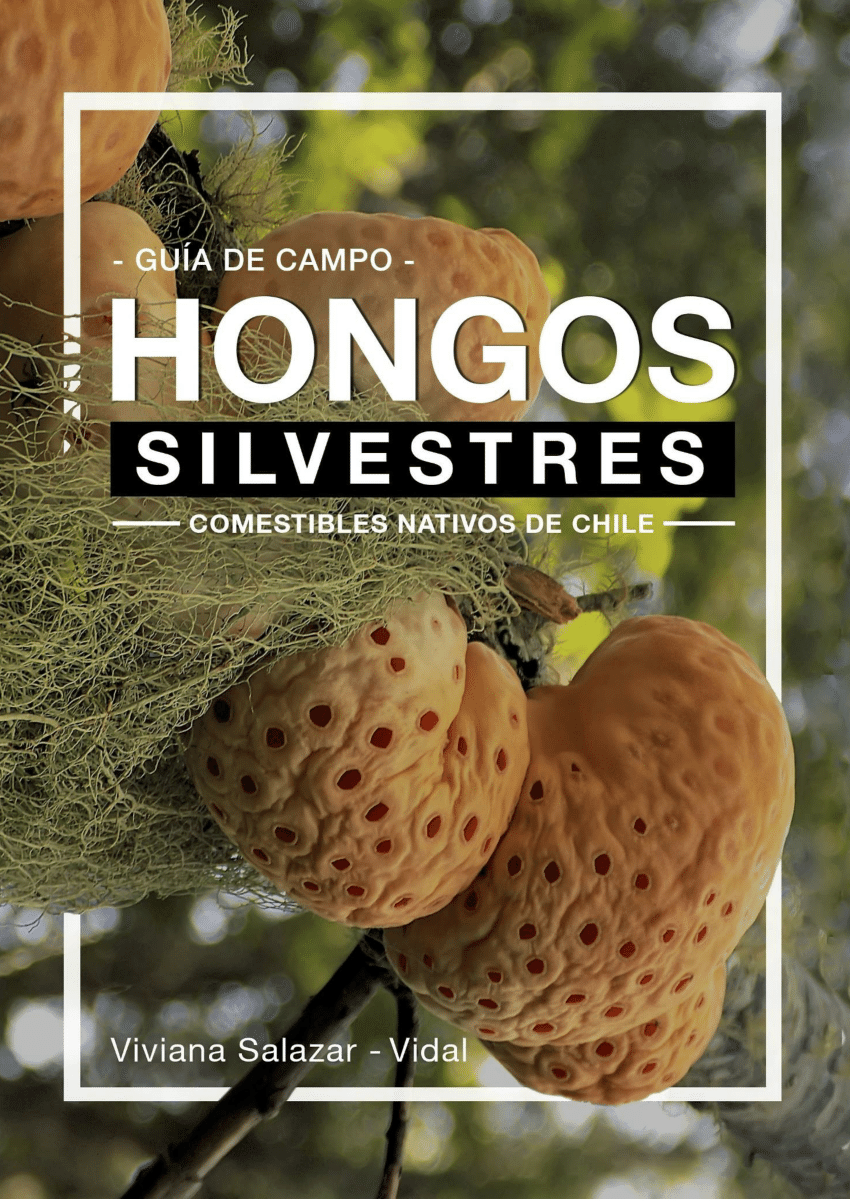 Pdf Guía De Campo Hongos Silvestres Comestibles Nativos De Chile 0793