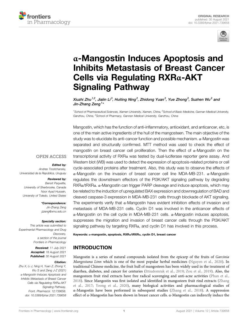 (PDF) AR-induced long non-coding RNA LINC01503 facilitates 