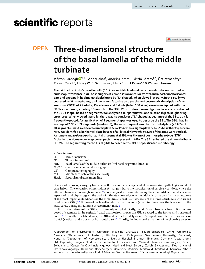 Pdf Three Dimensional Structure Of The Basal Lamella Of The Middle Turbinate 8274