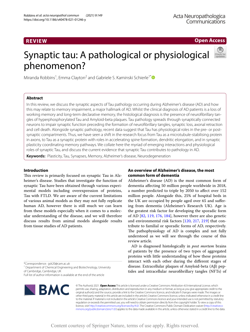 https://i1.rgstatic.net/publication/354475189_Synaptic_tau_A_pathological_or_physiological_phenomenon/links/613aea6435e5e82234194b44/largepreview.png