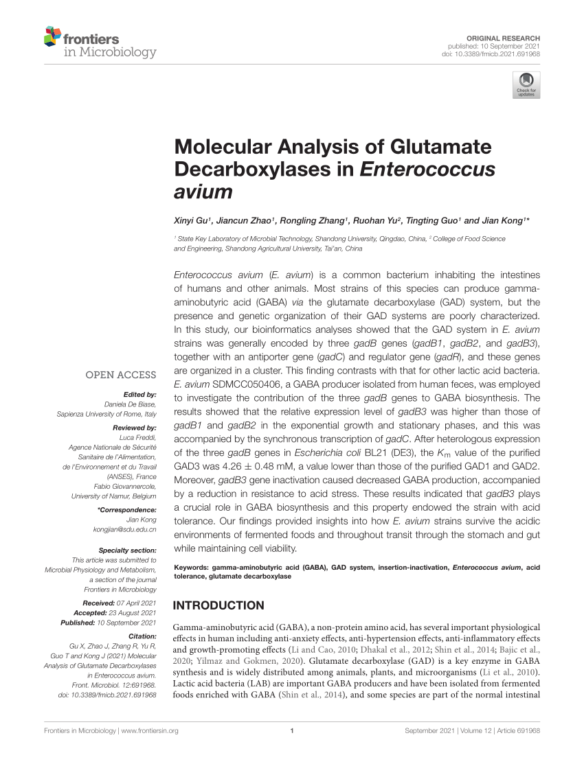 (PDF) Molecular Analysis of Glutamate Decarboxylases in Enterococcus avium