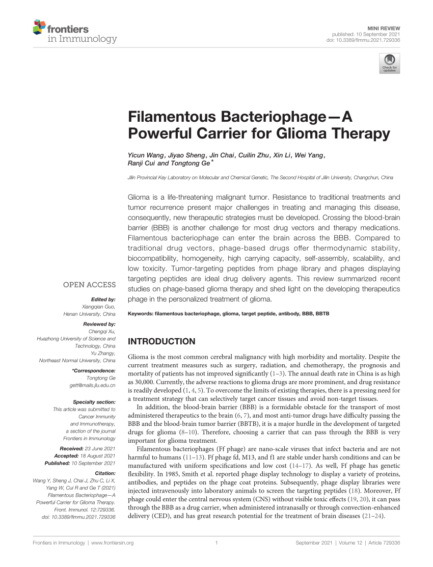 PDF Filamentous Bacteriophage A Powerful Carrier for Glioma Therapy 