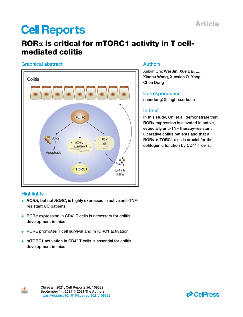 RORα is critical for mTORC1 activity in T cell-mediated colitis